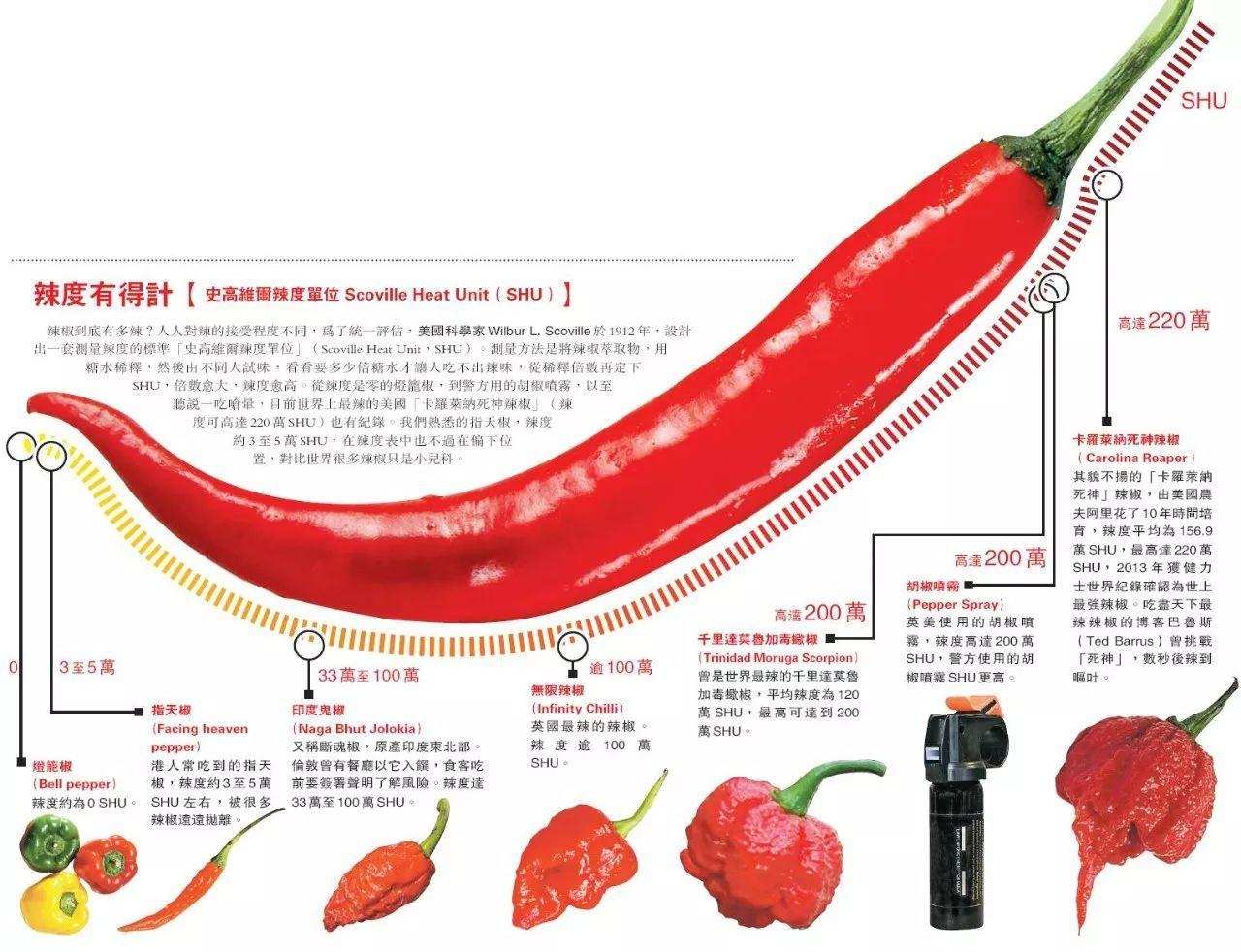 世界上最辣的辣椒（厨师不敢摸，辣度堪比生化武器） 的第4张图片