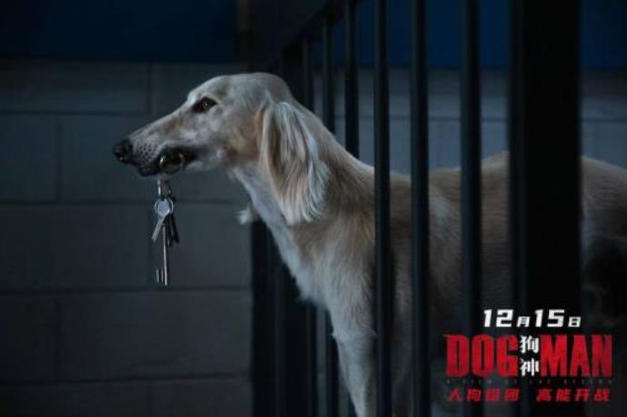 吕克·贝松的狗神大冒险——上海首映礼现场疯言疯语版 的第16张图片